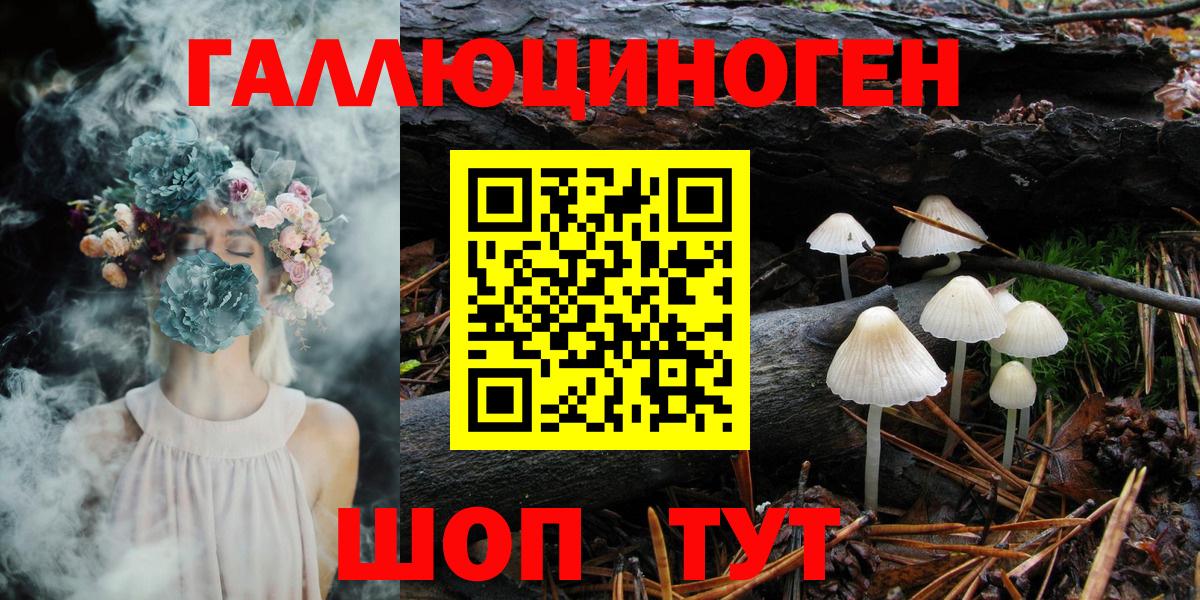 Каменск-Шахтинский  Псилоцибиновые грибы GOLDEN TEACHER  Вход с VPN 